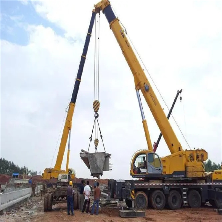 天涯镇小型吊机出租电话|厂房设备吊装方案|24小时服务覆盖